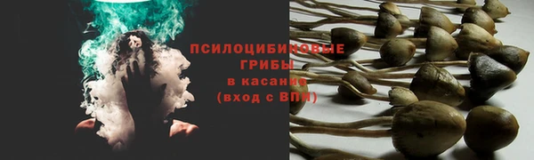 mdma Лиски